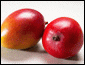 �Ïn����A�b�v���}���S�[