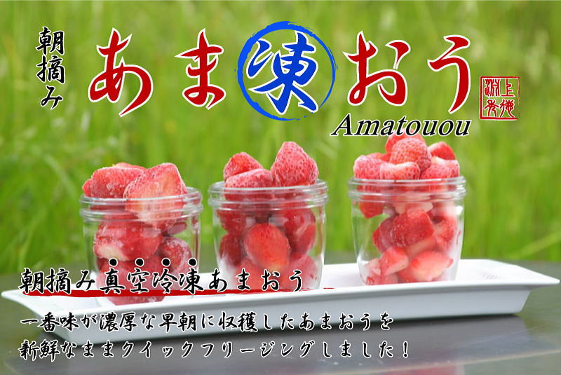 苺,いちご,イチゴ,あまおう,甘王,イチゴ,いいもの【あるファーム】九州