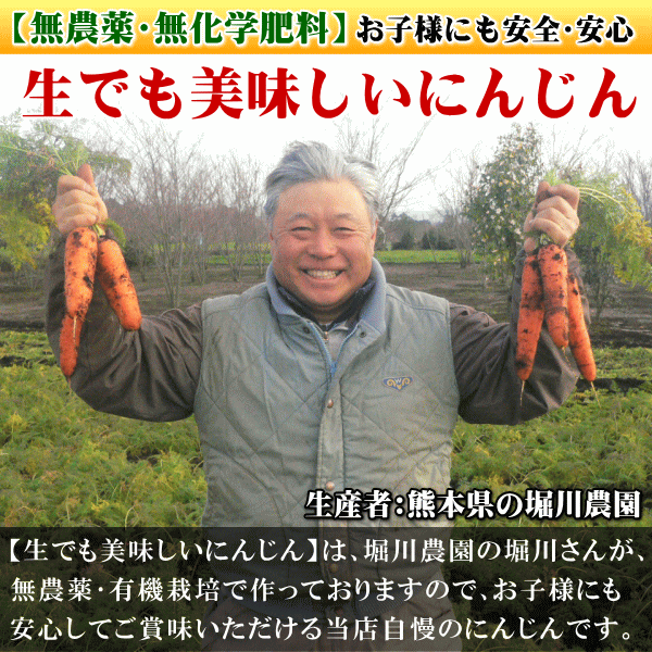 にんじん,ニンジン,人参,無農薬,無化学肥料,有機,安全,安心,ジュース,野菜ジュース,送料無料,訳あり,産直,産地直送,いいもの【あるファーム】九州