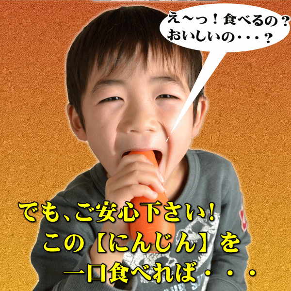 にんじん,ニンジン,人参,無農薬,無化学肥料,有機,安全,安心,ジュース,野菜ジュース,送料無料,訳あり,産直,産地直送,いいもの【あるファーム】九州