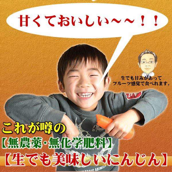 にんじん,ニンジン,人参,無農薬,無化学肥料,有機,安全,安心,ジュース,野菜ジュース,送料無料,訳あり,産直,産地直送,いいもの【あるファーム】九州