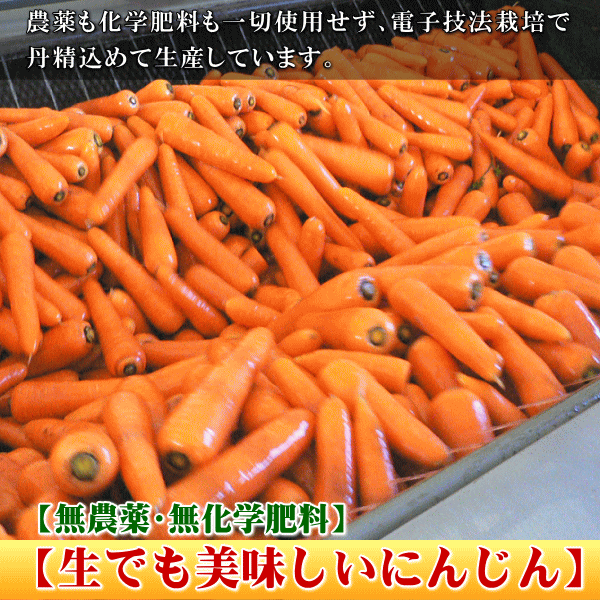 にんじん,ニンジン,人参,無農薬,無化学肥料,有機,安全,安心,ジュース,野菜ジュース,送料無料,訳あり,産直,産地直送,いいもの【あるファーム】九州
