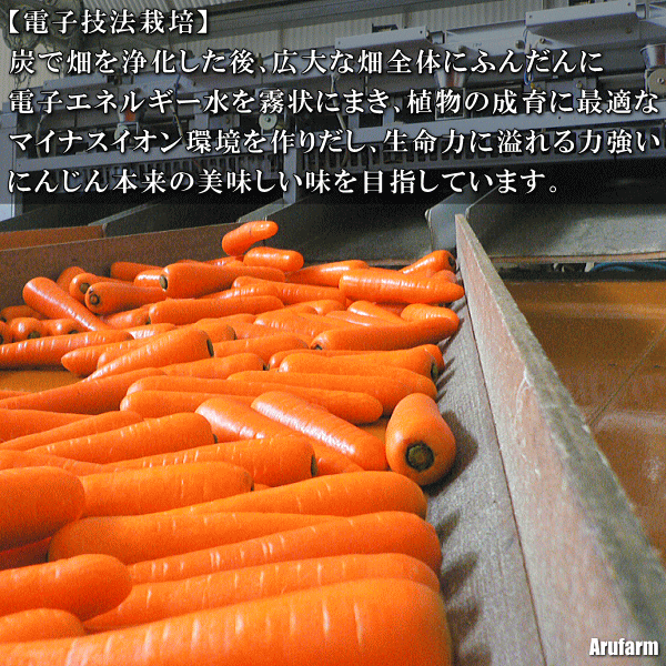 にんじん,ニンジン,人参,無農薬,無化学肥料,有機,安全,安心,ジュース,野菜ジュース,送料無料,訳あり,産直,産地直送,いいもの【あるファーム】九州