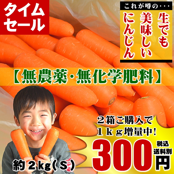 にんじん,ニンジン,人参,無農薬,無化学肥料,有機,安全,安心,ジュース,野菜ジュース,送料無料,訳あり,産直,産地直送,いいもの【あるファーム】九州