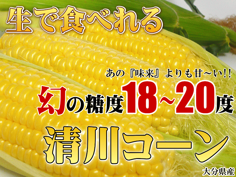 幻の糖度18～20度！生でも食べれる「清川コーン」10～16本入（３ｋｇ以上）　いいもの【あるファーム】九州