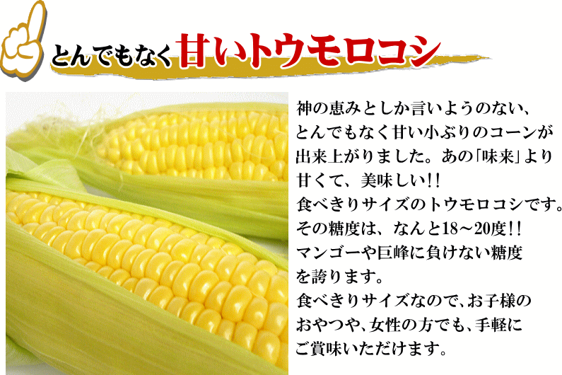 幻の糖度18～20度！生でも食べれる「清川コーン」10～16本入（３ｋｇ以上）　いいもの【あるファーム】九州