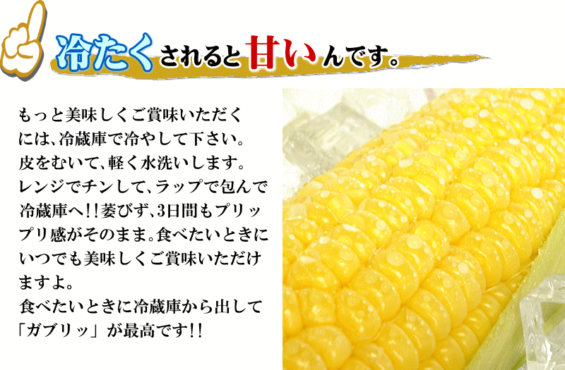 幻の糖度18～20度！生でも食べれる「清川コーン」10～16本入（３ｋｇ以上）　いいもの【あるファーム】九州