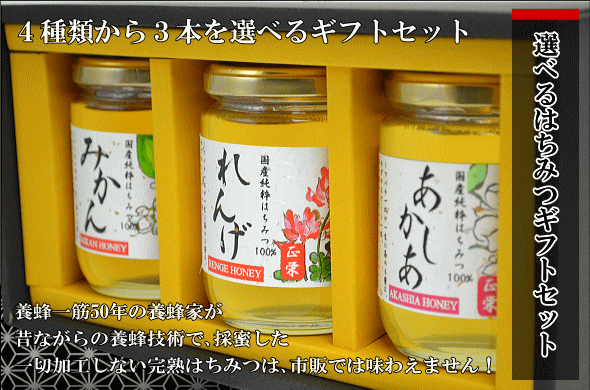 選べるはちみつセット300g×2本　国産蜂蜜（ハチミツ）いいもの【あるファーム】九州
