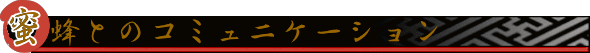 あかしあはちみつ　アカシアの花から採れた濃厚な蜂蜜（ハチミツ）いいもの【あるファーム】九州