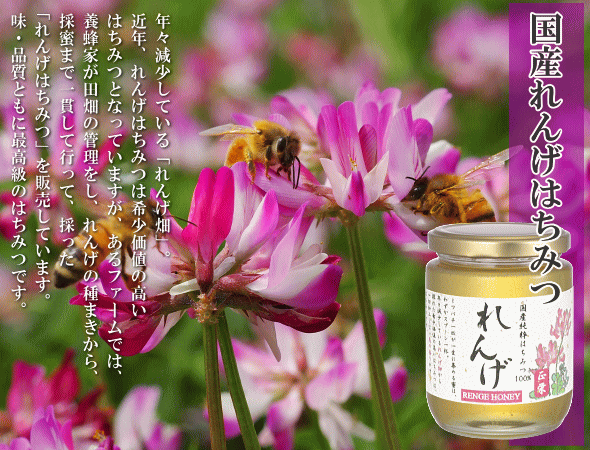 れんげはちみつ 蓮華 レンゲ の花から採れた濃厚な蜂蜜 ハチミツ いいもの ある