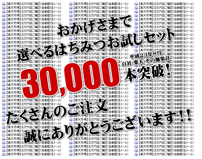 選べるはちみつセット300g×2本 国産蜂蜜(ハチミツ)いいもの【あるファーム】九州
