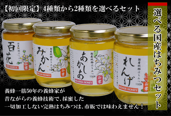 選べるはちみつセット300g×2本　国産蜂蜜（ハチミツ）いいもの【あるファーム】九州
