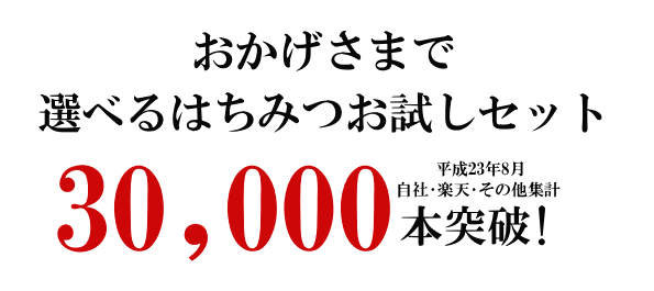 選べるはちみつセット300g×2本　国産蜂蜜（ハチミツ）いいもの【あるファーム】九州