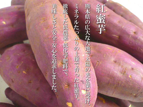 安納芋に匹敵する糖度のさつま芋！熊本県産「紅蜜芋（紅はるか）」薩摩芋（サツマイモ）　いいもの【あるファーム】九州