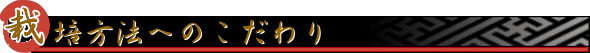  安納芋に匹敵する糖度のさつま芋！熊本県産「紅蜜芋（紅はるか）」薩摩芋（サツマイモ）いいもの【あるファーム】九州