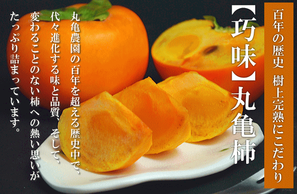 大玉「丸亀柿」100年の歴史ある丸亀農園の特選柿（かき）　いいもの【あるファーム】九州