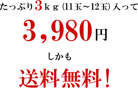 大玉「丸亀柿」100年の歴史ある丸亀農園の特選柿（かき）　いいもの【あるファーム】九州