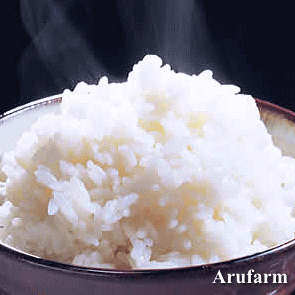  話題の美味しいお米！福岡県産【めし丸 元気つくし】　いいもの【あるファーム】九州