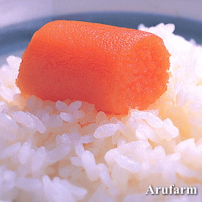  話題の美味しいお米！福岡県産【めし丸 元気つくし】　いいもの【あるファーム】九州