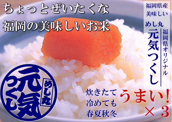 話題の美味しいお米！福岡県産【めし丸 元気つくし】　いいもの【あるファーム】九州