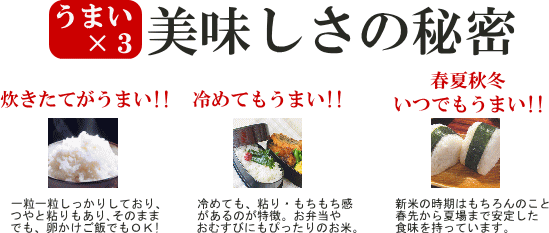 話題の美味しいお米！福岡県産【めし丸 元気つくし】　いいもの【あるファーム】九州