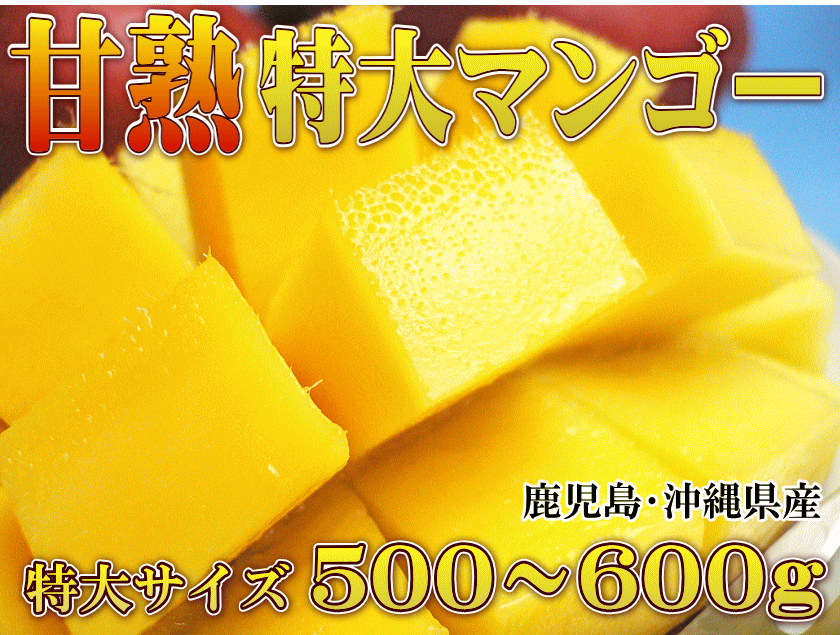 まぼろしの甘熟「特大アップルマンゴー」　いいもの【あるファーム】九州