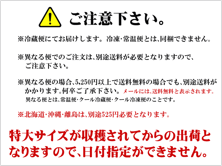 まぼろしの甘熟「特大アップルマンゴー」　いいもの【あるファーム】九州
