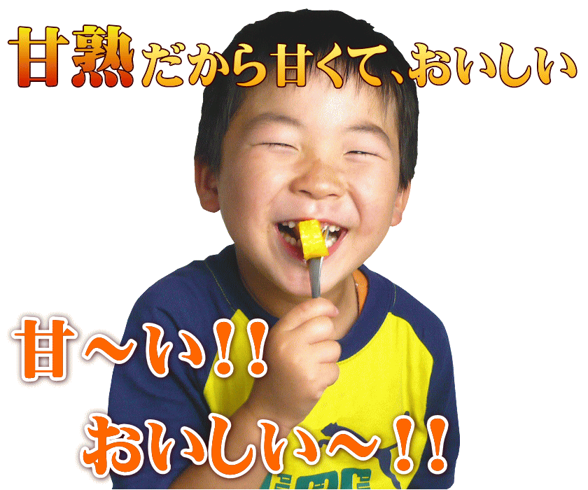 まぼろしの甘熟「特大アップルマンゴー」　いいもの【あるファーム】九州
