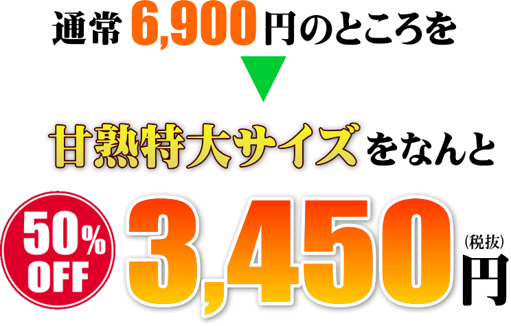 まぼろしの甘熟「特大アップルマンゴー」　いいもの【あるファーム】九州