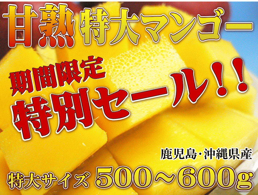 まぼろしの甘熟「特大アップルマンゴー」　いいもの【あるファーム】九州