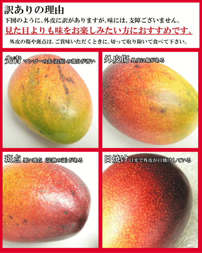 まぼろしの甘熟「特大アップルマンゴー」　いいもの【あるファーム】九州