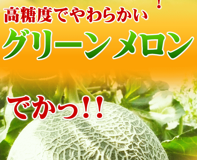 大玉グリーンメロン2玉入　いいもの【あるファーム】九州