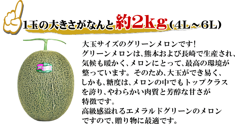 大玉グリーンメロン2玉入　いいもの【あるファーム】九州