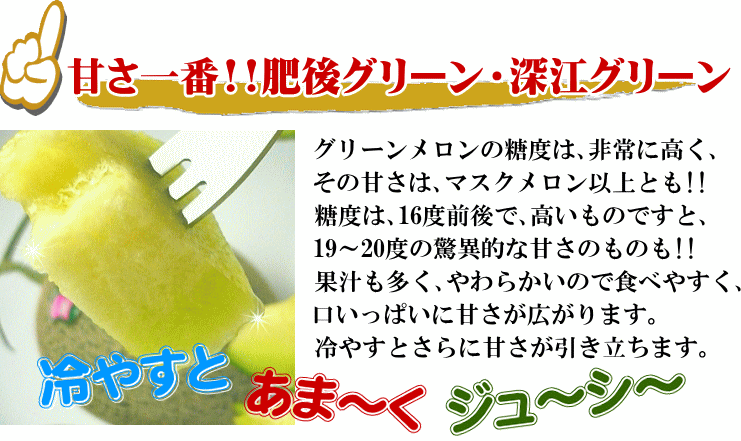 大玉グリーンメロン2玉入　いいもの【あるファーム】九州