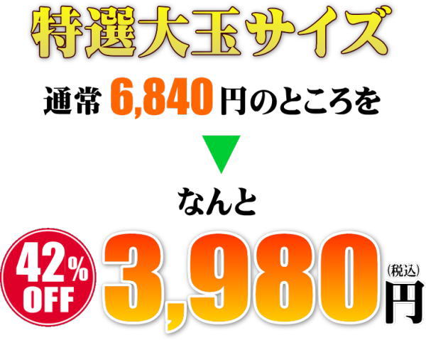 大玉グリーンメロン2玉入　いいもの【あるファーム】九州