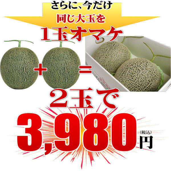 大玉グリーンメロン2玉入　いいもの【あるファーム】九州