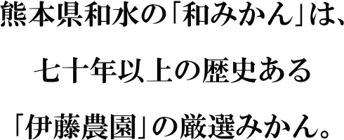 和みはるか　伊藤農園のはるか（柑橘）　いいもの【あるファーム】九州