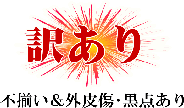 和みはるか　伊藤農園のはるか（柑橘）　いいもの【あるファーム】九州