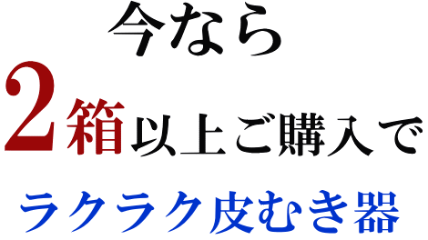 和みはるか　伊藤農園のはるか（柑橘）　いいもの【あるファーム】九州